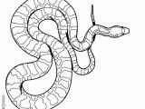 Viper Snake Coloring Page Awesome Snake Coloring W0084 Prodigous Snake Colouring