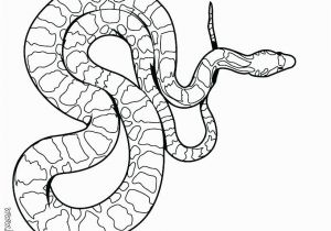 Viper Snake Coloring Page Awesome Snake Coloring W0084 Prodigous Snake Colouring