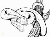 Viper Snake Coloring Page Viper Snake Coloring Page 4384