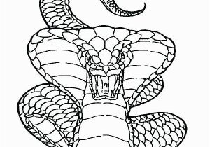 Viper Snake Coloring Page Viper Snake Coloring Page Viper Snake Coloring Pages Viper Snake