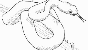 Viper Snake Coloring Page Viper Snake Coloring Pages