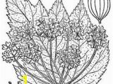 Volcano Coloring Book Pages 252 Best Fun Coloring Pages for Kids and Adults Images On Pinterest