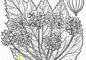 Volcano Coloring Book Pages 252 Best Fun Coloring Pages for Kids and Adults Images On Pinterest