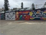 Wall Mural Artist Sydney Graffiti Art Bondi Beach