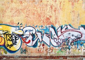 Wall Mural Artist Sydney Rustic Wall Graffiti Wallpaper Wall Mural In 2020