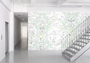 Wall Mural Installers Near Me Maharam Cuckoo Wall Covering Wall Murals