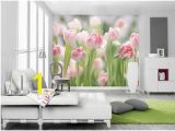 Wall Mural Superstore 446 Best Full Size Wall Murals Images