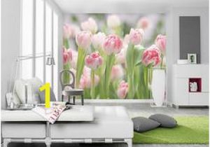 Wall Mural Superstore 446 Best Full Size Wall Murals Images