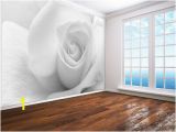 Wall Mural Wallpaper Black and White Black and White Rose Close Up Photo Wallpaper Wall Mural