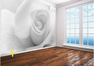 Wall Mural Wallpaper Black and White Black and White Rose Close Up Photo Wallpaper Wall Mural