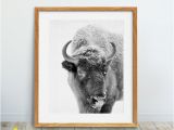 Wall Murals Buffalo Ny Bison Print Buffalo Wall Art Nursery Animal Print Snow Winter Decor American Bison Black and White Graphy Kids Room Printable Art