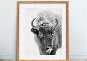 Wall Murals Buffalo Ny Bison Print Buffalo Wall Art Nursery Animal Print Snow Winter Decor American Bison Black and White Graphy Kids Room Printable Art