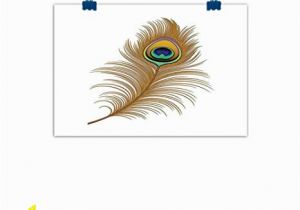 Wall Murals for Baby Boy Nursery Amazon Canvas Prints Wall Art Peacock Decor