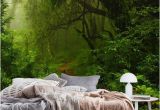 Wall Murals forest Scene Jungle Wall Mural Wallpaper forest