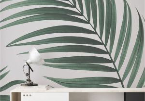 Wall Murals From Your Photos Tropical Palm Wall Mural