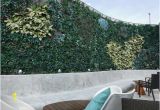 Wall Murals In Bangalore Outdoor Wall Creepers Picture Of High Ultra Lounge
