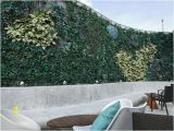 Wall Murals In Bangalore Outdoor Wall Creepers Picture Of High Ultra Lounge