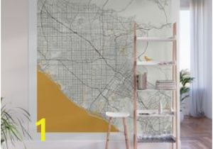 Wall Murals In orange County orange County Wall Murals