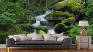 Wall Murals Of Nature Mossy Waterfall In 2019