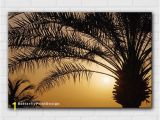 Wall Murals Palm Trees Palm Trees at Sunset Wall Art Design Sun Silhouette Print Nature Landscape Printable Digital Product N085