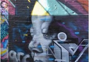 Wall Murals Perth 200 Best Murals and Street Art Images