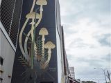 Wall Murals Perth Scale Murals Of Flora and Fauna by Amok island A