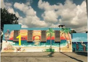 Wall Murals Tampa Fl 21 Best Mural Artists St Petersburg Fl Images