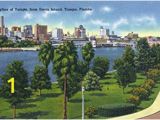 Wall Murals Tampa Fl Amazon Tampa Florida Davis island Skyline View