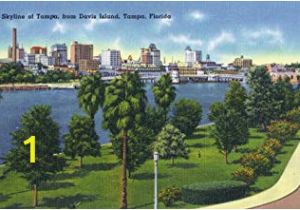 Wall Murals Tampa Fl Amazon Tampa Florida Davis island Skyline View