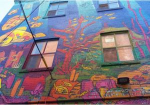 Wall Murals toronto A Graffiti Alley Highlight Picture Of tour Guys toronto