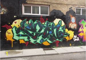 Wall Murals toronto toronto 2013 Graffiti Alley Flickr Nicole isenbarger