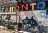 Wall Murals toronto toronto Street Art Pinterest