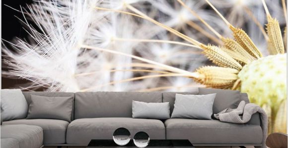 Wall Paper Murals Uk Wallpaper Fluffy Dandelion" 3d Wallpaper Murals Uk