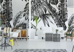 Walls are for Murals Black and White Wall Murals and Photo Wallpapers
