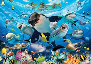 Walltastic Sea Adventure Wall Mural Sea Adventure Ð Ð ÐÐÐ ÑÐ¾ÑÐ¾ Ð¾Ð±Ð¾Ð¸ 3d Walltastic ÐÐÐÐ