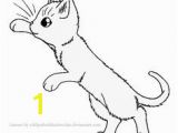 Warrior Cats Clan Coloring Pages 25 Best Warrior Coloring Pages Images