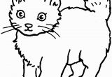 Warriors Cats Coloring Pages Free Coloring Cat