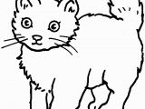 Warriors Cats Coloring Pages Free Coloring Cat