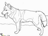 Washington Huskies Coloring Pages 14 Fresh Washington Huskies Coloring Pages Stock