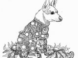 Washington Huskies Coloring Pages 14 Fresh Washington Huskies Coloring Pages Stock