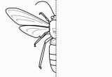 Wasp Coloring Pages for Kids 10 Free Coloring Pages Bug Symmetry Art for Kids Hub