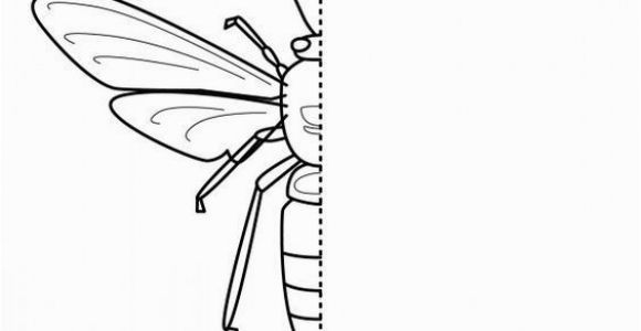 Wasp Coloring Pages for Kids 10 Free Coloring Pages Bug Symmetry Art for Kids Hub