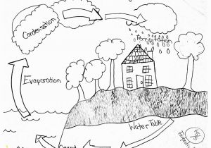 Water Cycle Coloring Page 12 Best Of for 5th Grade Science Worksheets Water Cycle