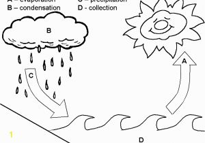 Water Cycle Coloring Page Teaching the Water Cycle In A Basic Way to Preschool Children On W