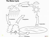 Water Cycle Coloring Page Water Cycle for Kids Coloring Page Coloring Pages