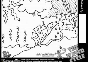Water Cycle Coloring Page Water Cycle Worksheet Primary Save Water Cycle Coloring Pages