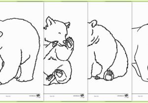 We Re Going On A Bear Hunt Printable Coloring Pages Free Bears Colouring Sheets Teacher Made