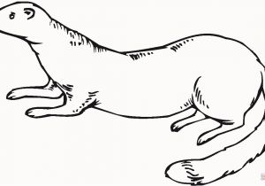 Weasel Coloring Pages Weasel Coloring Pages Elegant Weasel 16 Coloring Page