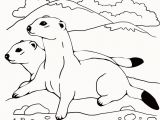 Weasel Coloring Pages Weasel Coloring Pages Elegant Weasel 16 Coloring Page