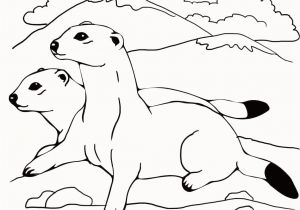 Weasel Coloring Pages Weasel Coloring Pages Elegant Weasel 16 Coloring Page